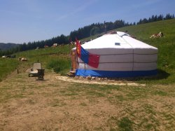 Bild "Bergmeeting:jurte2014_erlenbach.jpg"